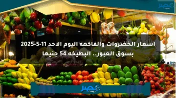 أسعار الخضروات والفاكهة اليوم الأحد 11-5-2025 بسوق العبور.. البطيخة 54 جنيها